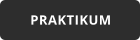 PRAKTIKUM