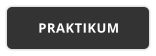 PRAKTIKUM